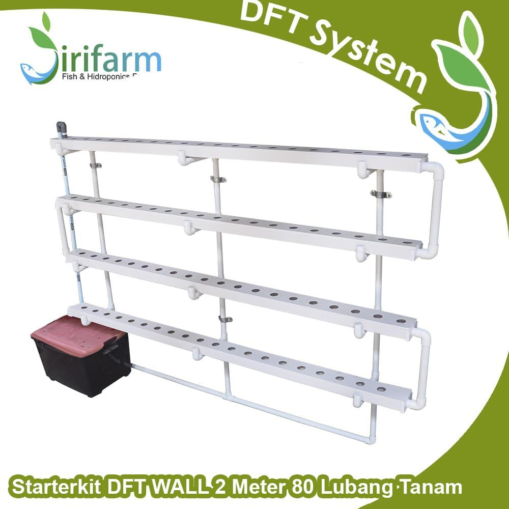 Jirifarm Paket Tanam Dinding Hidroponik DFT WALL 2 meter 80 Lubang